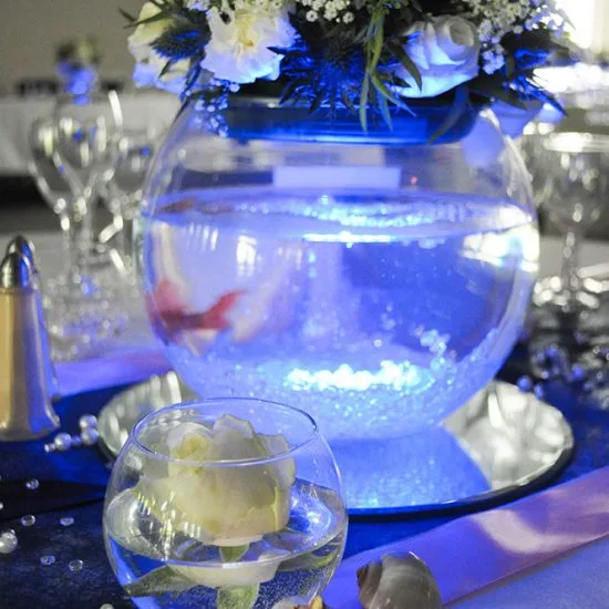 Bocal à poisson lumineux